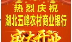 湖北农信社最新爆料信息,揭秘改革动向与未来发展蓝图
