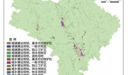 留坝县导游爆料案例最新